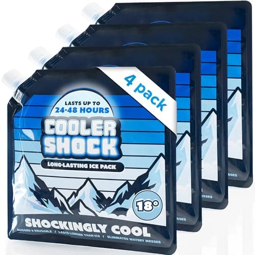 Cooler Shock Mid-Size Reusable Ice Packs (4-pack)